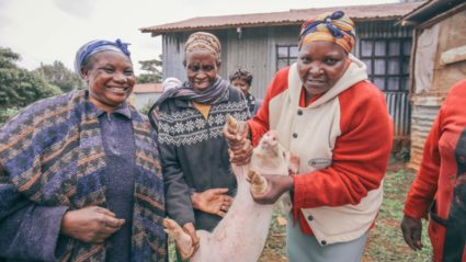 How a local group is fighting poverty in Kenya, one pig at a time