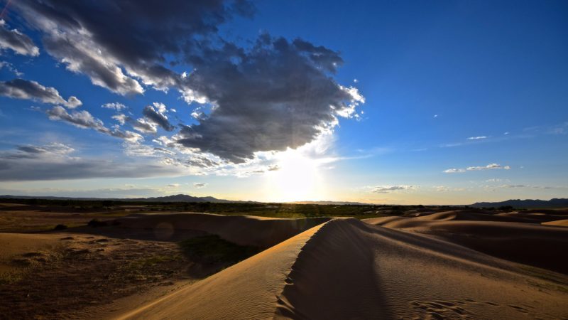 Gobi Desert Mongolia