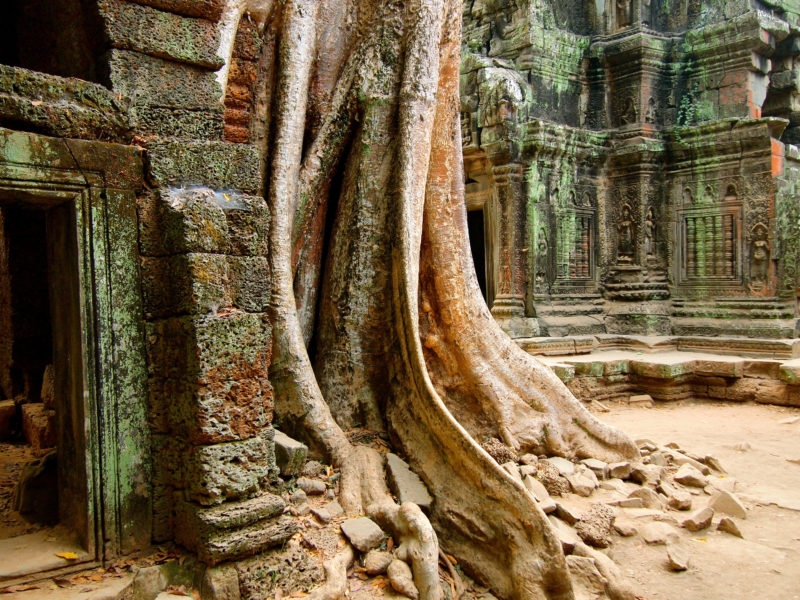 Ta Prohm Cambodia