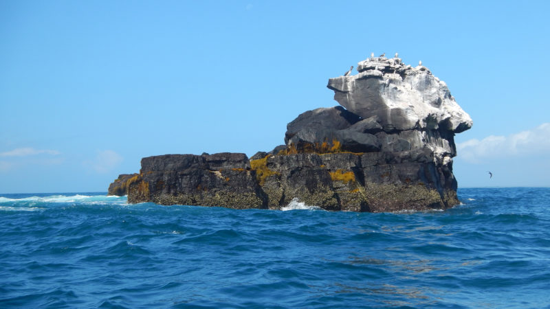 Ecuador Galapagos