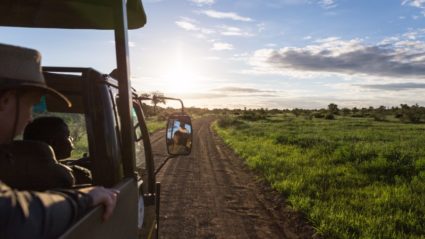 botswana water safari