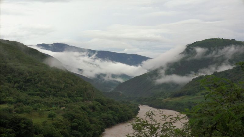 Jungle Peru