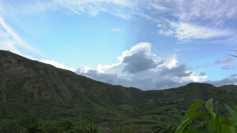 Peru jungle