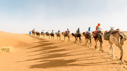 Much more than a desert: A trip into the Sahara