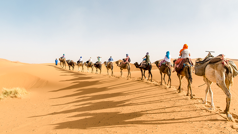 Káº¿t quáº£ hÃ¬nh áº£nh cho sahara