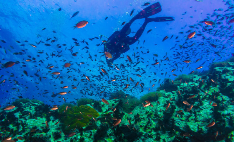 Scuba diving Ko Tao Thailand