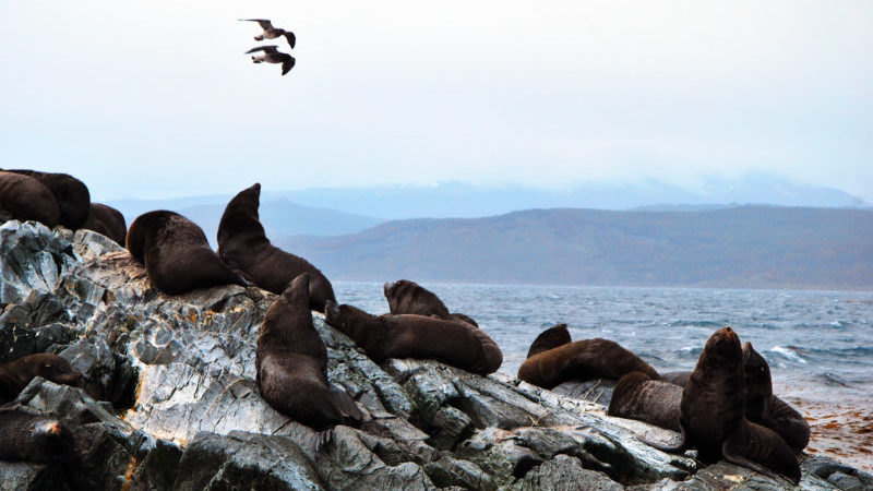 Ushuaia, Argentina