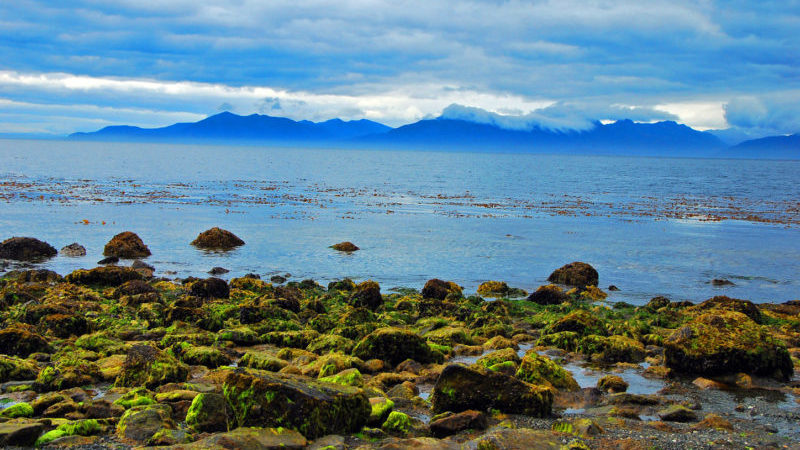 Cabo Froward Patagonia