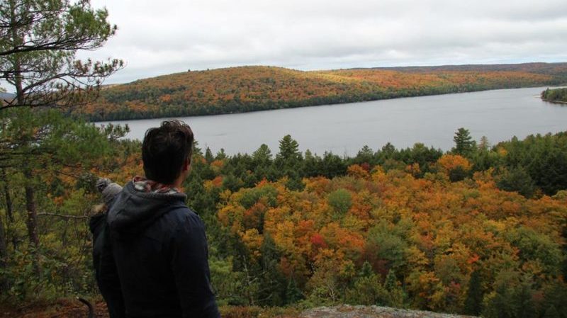 Algonquin Park vista Canada