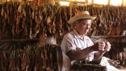 What a tobacco farmer taught me about the art of Cuban cigar making