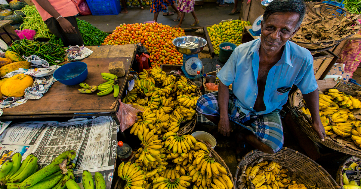 7 best destinations to travel for vegetarians