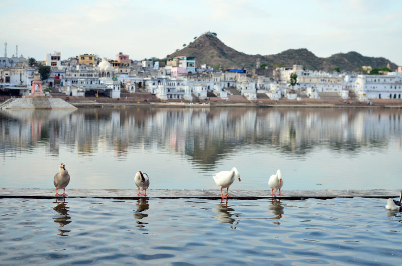 Pushkar Lake Rajasthan India