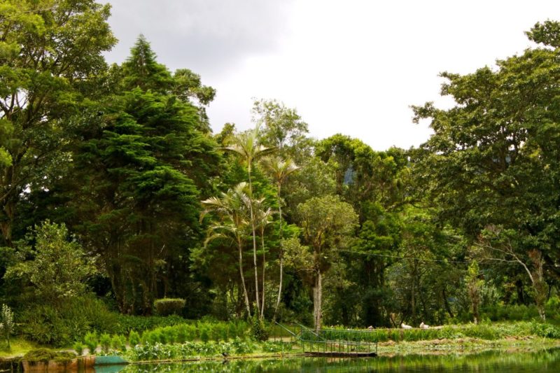 Selva Negra Nicaragua