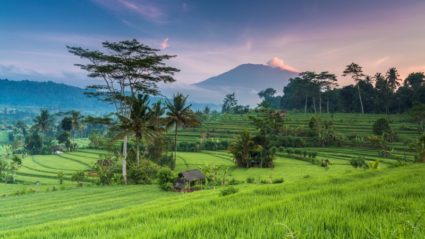 Obama does Bali: How to travel there like the former President