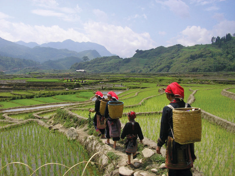 Sapa North Vietnam