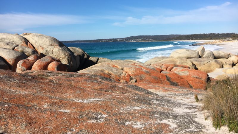 The fiery orange coloured rocks of the Bay of Fires, Tasmania