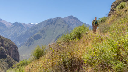 Everything you need to know about trekking Peru’s Colca Canyon