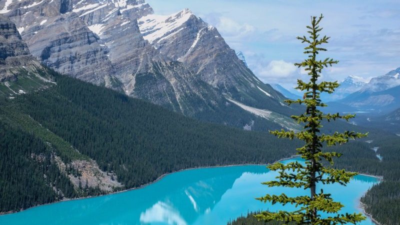 Peyto Lake, in the Canadian Rocky Mountains