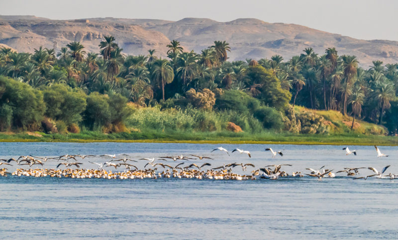 Nile Egypt