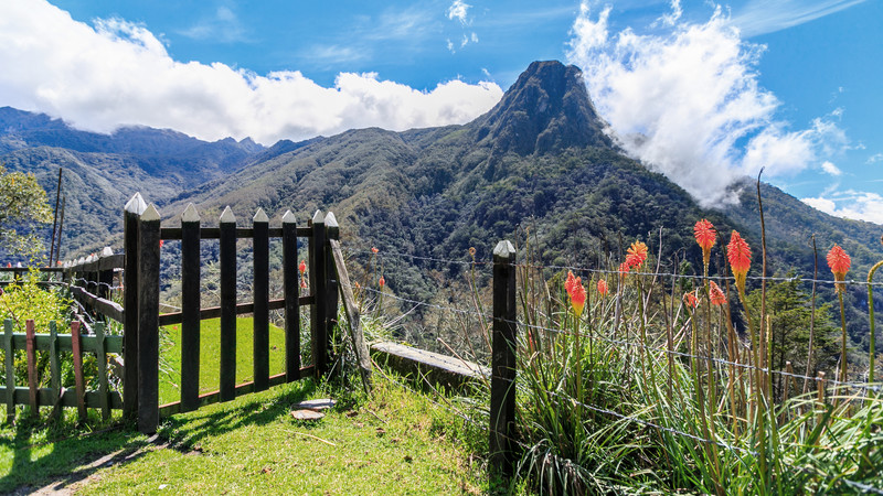 Colombia's Cocora Valley