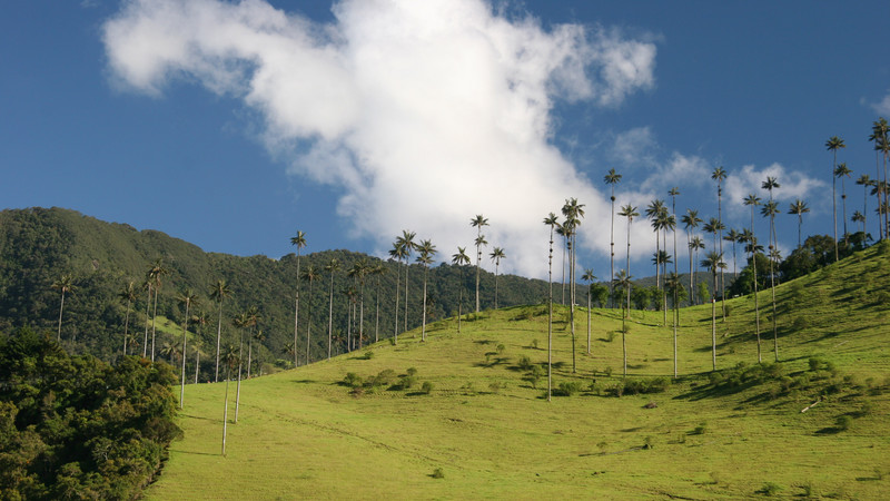 Salento Colombia