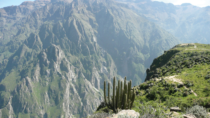 Colca Canyon trekking Peru