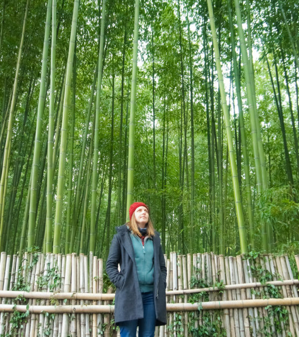 Bamboo forest Kyoto Japan