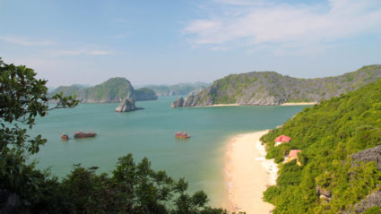 cruise asia vietnam