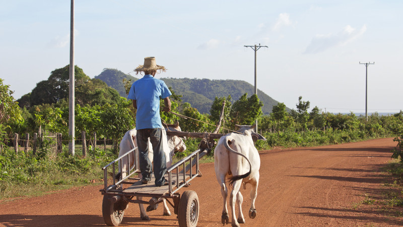 Cambodian food guide