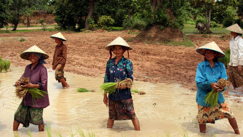 Cambodian food guide