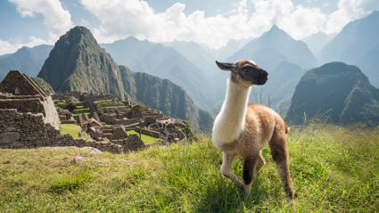 machu picchu tour from usa