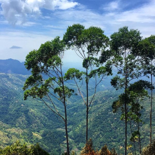 Ella Rock hiking Sri Lanka