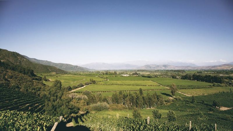 Chile La Emiliana Winery