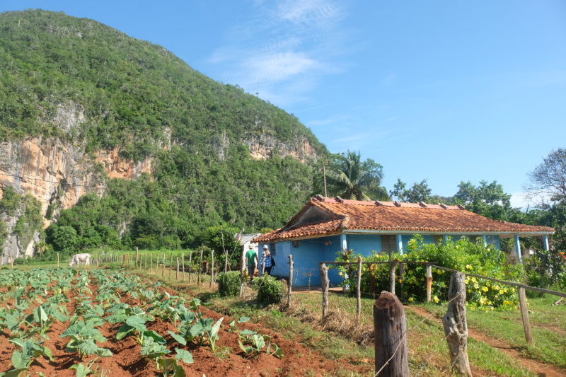 Vinales Cuba
