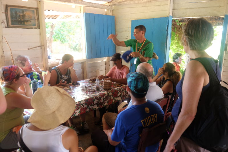 Vinales Cuba tobacco farm