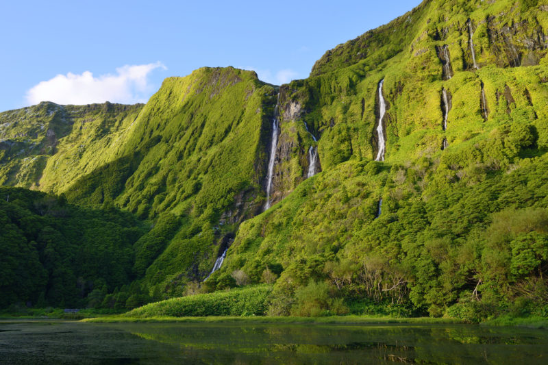 Flores Azores Portugal