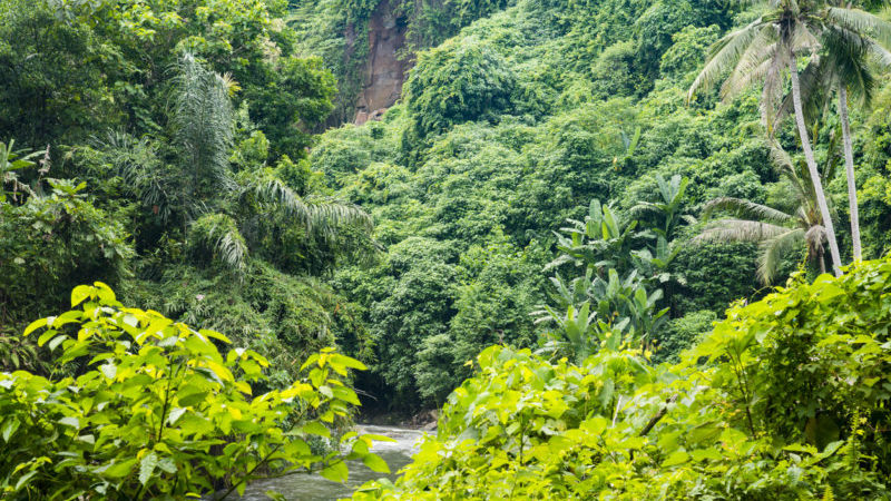 Southeast Asia Cambodia Cardamom Mountains