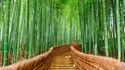The top 10 places you should visit in Japan
