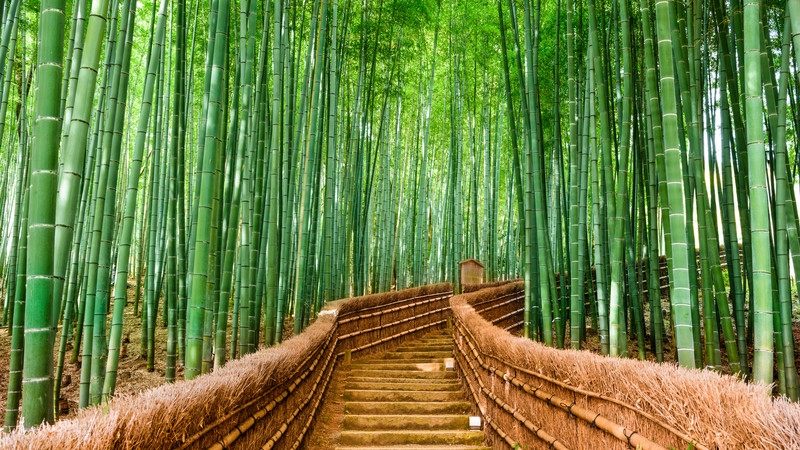 10 places to visit in Japan Intrepid Blog