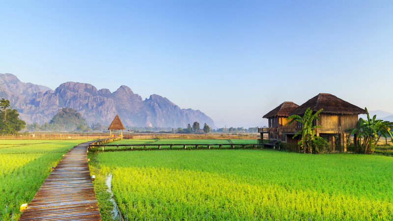 A traditional hut surrounded by rice paddies in Vang Vieng, Laos