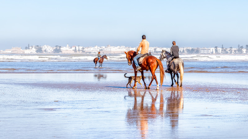 Morocco top 10 Essaouira horse ride