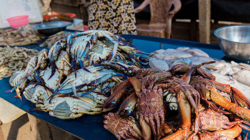 Fresh crabs at the Negombo Fish Markets