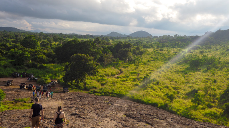 A group of travellers explore Udewalawa Elephant Park