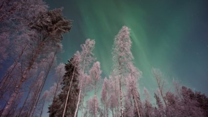5 reasons Finnish Lapland should be on your bucket list