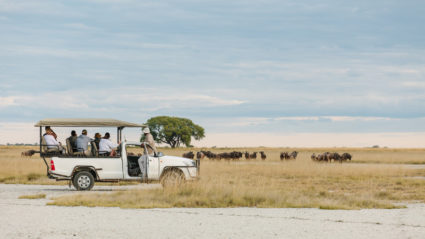 water safari botswana