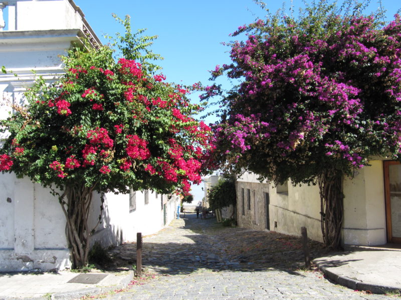 Colonia Uruguay port