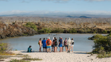 The Galapagos in photos: What an Intrepid trip is really like