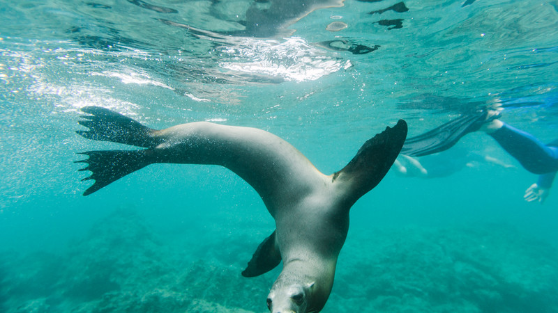 Galapagos tour Ecuador