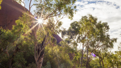 Why one traveller quit her office job and moved to the Australian Outback