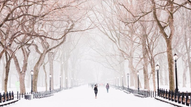 Central Park in winter.